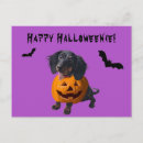 Zoek naar wiener briefkaarten Halloween