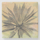 Zoek naar groen plant onderzetters Tropisch