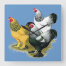 Zoek naar hanen klokken Vogel