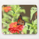 Zoek naar insect muismatten Zinnia