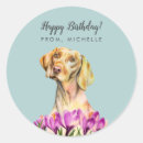 Zoek naar vizsla hond stickers Schattig