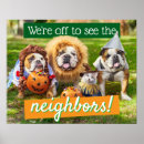 Zoek naar grappige huisdieren posters Kat