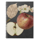 Zoek naar appel notitieboeken Voedsel