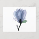 Zoek naar natuur tekening briefkaarten Modern
