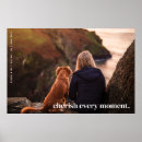Zoek naar huisdier portretten Schattig