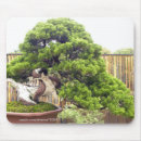 Zoek naar bonsai muismatten Natuur