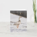 Zoek naar witte ganzen kaarten Winter