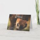 Zoek naar paarden condoleancekaarten Pony