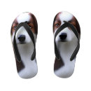 Zoek naar puppy schoenen Huisdier