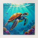 Zoek naar schildpadden puzzels Zeeen schildpad