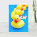Zoek naar eend humor kaarten Voor iedereen