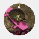 Zoek naar grappige schildpad ornamenten Schildpadden