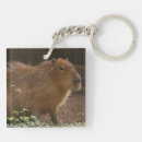 Zoek naar capybara sleutelhangers Natuur