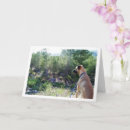 Zoek naar dog portrait kaarten Voor iedereen