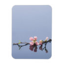 Zoek naar bloesem magneten Stilla life