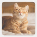 Zoek naar katten afbeeldingen stickers Vrienden