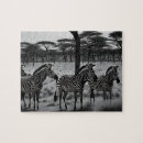 Zoek naar zebras puzzels Afrika