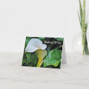 Zoek naar calla lily kaarten Denken aan jou