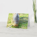 Zoek naar carp kaarten Vis
