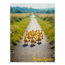 Zoek naar landweg posters Landelijke weg