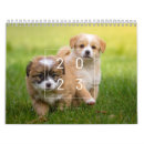 Zoek naar cute kalenders Hond