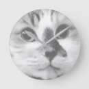 Zoek naar cute cat klokken Dier