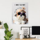 Zoek naar leuke dieren posters Grappig