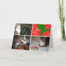 Zoek naar emma kaarten Kat