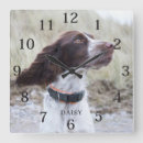 Zoek naar hond foto klokken Huisdecoratie