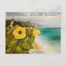 Zoek naar hibiscus briefkaarten Eiland