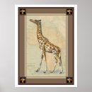 Zoek naar afrikaans continent posters Giraffe