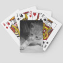 Zoek naar katje speelkaarten Schattig