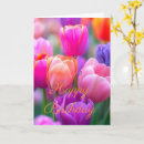 Zoek naar roze tulpen kaarten Voor haar
