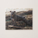 Zoek naar skateboarding puzzels Hond