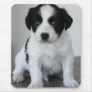 Zoek naar puppy muismatten Schattige dieren