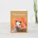 Zoek naar alpaca kaarten Elk persoon