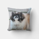 Zoek naar shih tzu kussens Huisdier