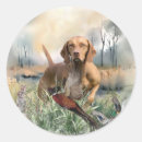 Zoek naar vizsla hond stickers Hongaarse aanwijzer