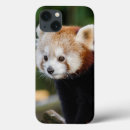 Zoek naar rode panda hoesjes China