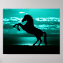 Zoek naar zwart paard posters Paardrijden
