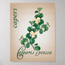 Zoek naar aromatherapie posters Botanisch