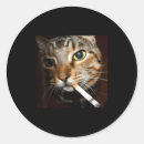 Zoek naar sarcastische humor stickers Meme