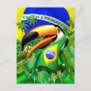 Zoek naar exotische vogel briefkaarten Oerwoud