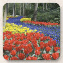 Zoek naar holland onderzetters Lente