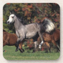 Zoek naar paarden onderzetters Lopen