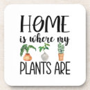 Zoek naar planten onderzetters Elk persoon