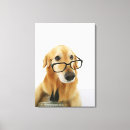 Zoek naar onschuldig meer kunst Studio shot
