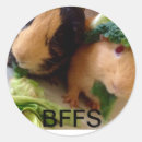Zoek naar bff best stickers Voor iedereen