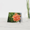 Zoek naar hibiscus kaarten Zomer