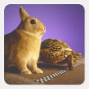 Zoek naar hazen stickers Dier